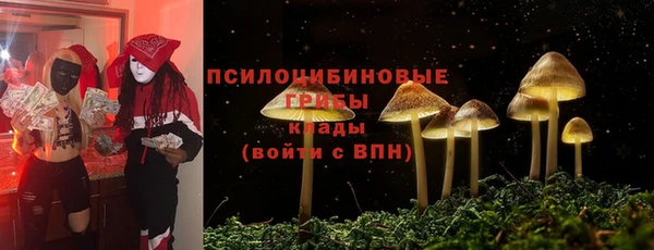 2c-b Богородицк