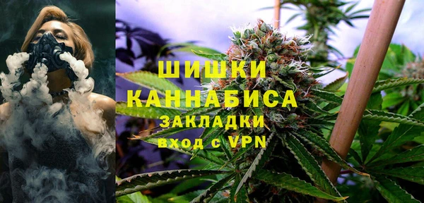 спиды Бородино