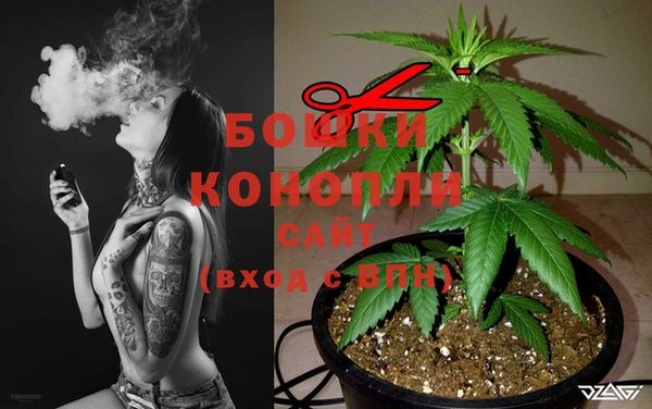 2c-b Богородицк