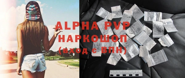 спиды Бородино