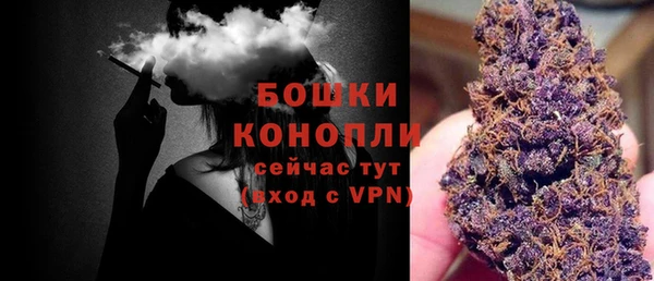 ешки Бронницы