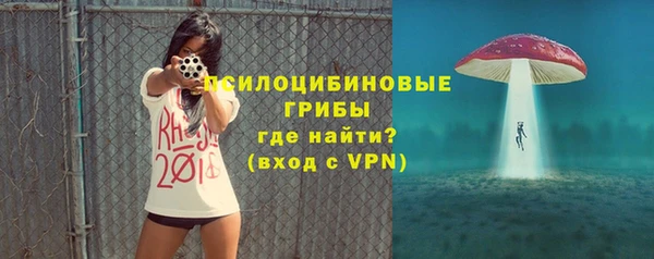 ешки Бронницы