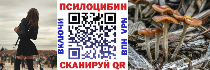 Псилоцибиновые грибы Magic Shrooms  mega ONION  Щёлково 